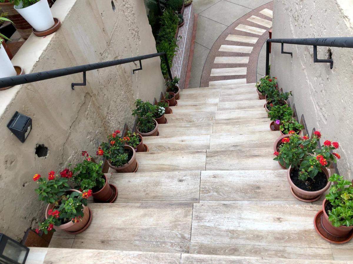 Quito Terrace Hostel Εξωτερικό φωτογραφία