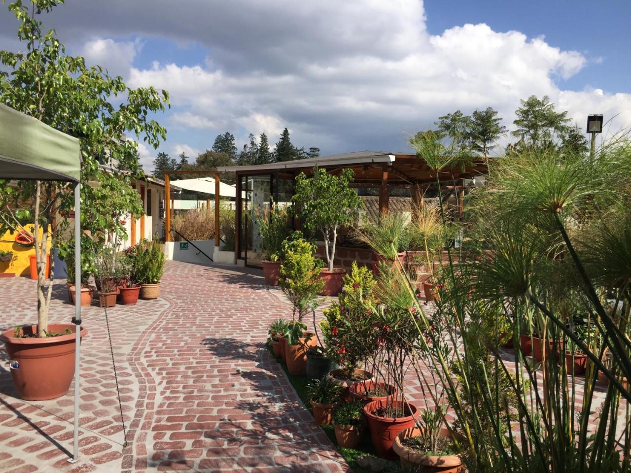 Quito Terrace Hostel Εξωτερικό φωτογραφία